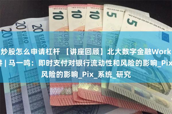 炒股怎么申请杠杆 【讲座回顾】北大数字金融Workshop第六讲 | 马一鸣：即时支付对银行流动性和风险的影响_Pix_系统_研究