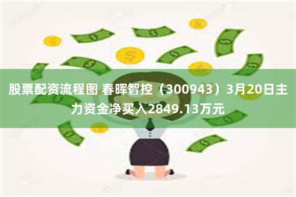 股票配资流程图 春晖智控（300943）3月20日主力资金净买入2849.13万元