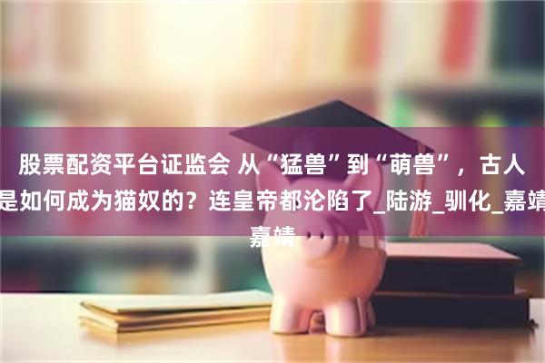 股票配资平台证监会 从“猛兽”到“萌兽”，古人是如何成为猫奴的？连皇帝都沦陷了_陆游_驯化_嘉靖