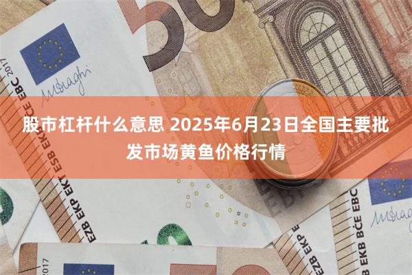 股市杠杆什么意思 2025年6月23日全国主要批发市场黄鱼价格行情