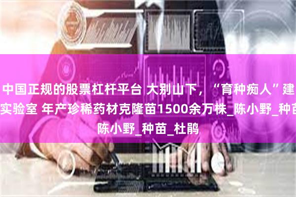 中国正规的股票杠杆平台 大别山下，“育种痴人”建起乡村实验室 年产珍稀药材克隆苗1500余万株_陈小野_种苗_杜鹃