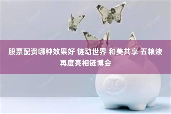 股票配资哪种效果好 链动世界 和美共享 五粮液再度亮相链博会