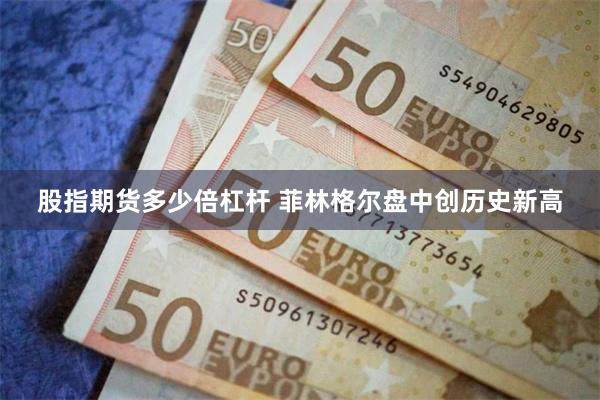 股指期货多少倍杠杆 菲林格尔盘中创历史新高