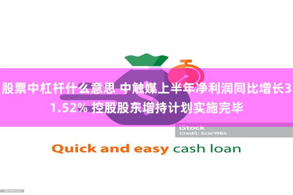 股票中杠杆什么意思 中触媒上半年净利润同比增长31.52% 控股股东增持计划实施完毕