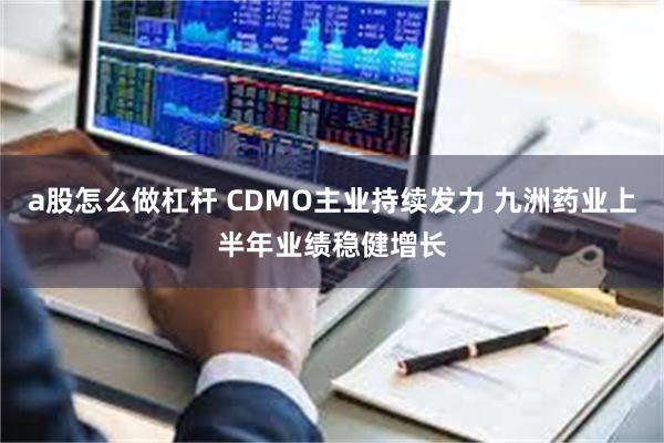 a股怎么做杠杆 CDMO主业持续发力 九洲药业上半年业绩稳健增长