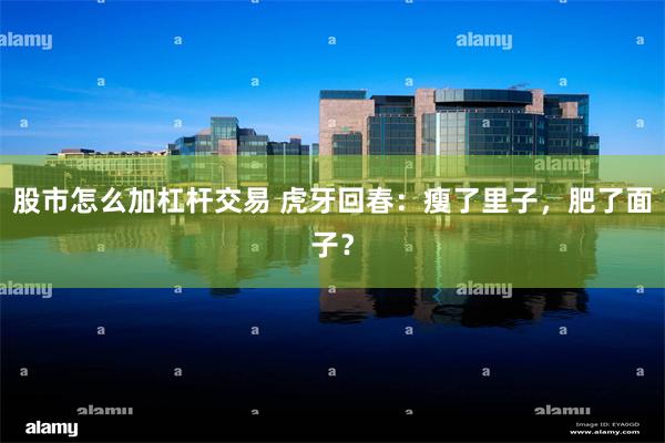 股市怎么加杠杆交易 虎牙回春：瘦了里子，肥了面子？